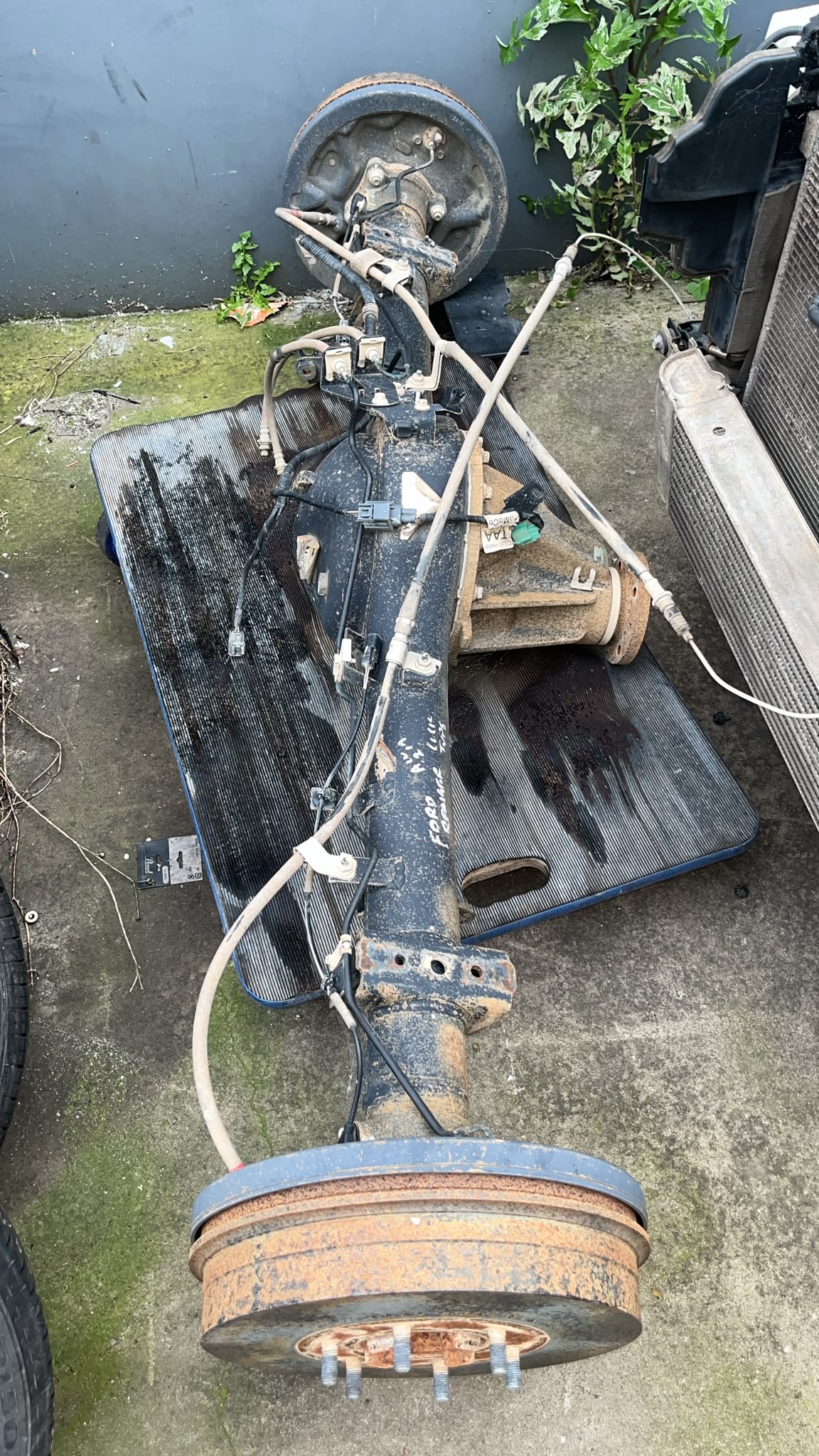 Rear Diff Assembly